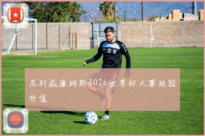 尼科威廉姆斯2026世界杯大赛经验价值