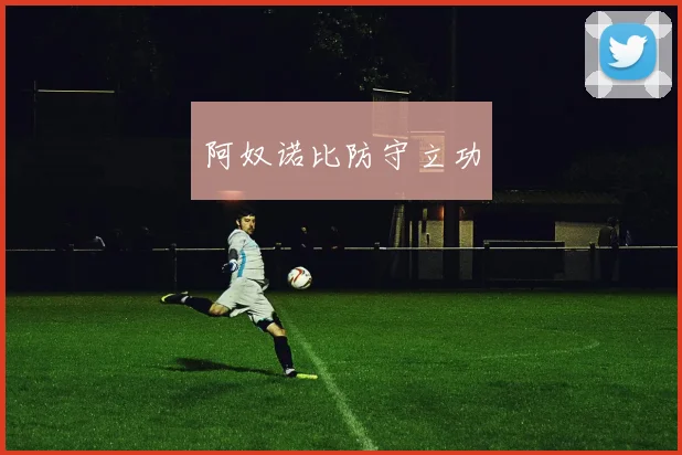 阿奴诺比防守立功