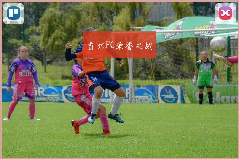 首尔FC荣誉之战