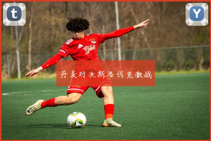丹麦对决斯洛伐克激战