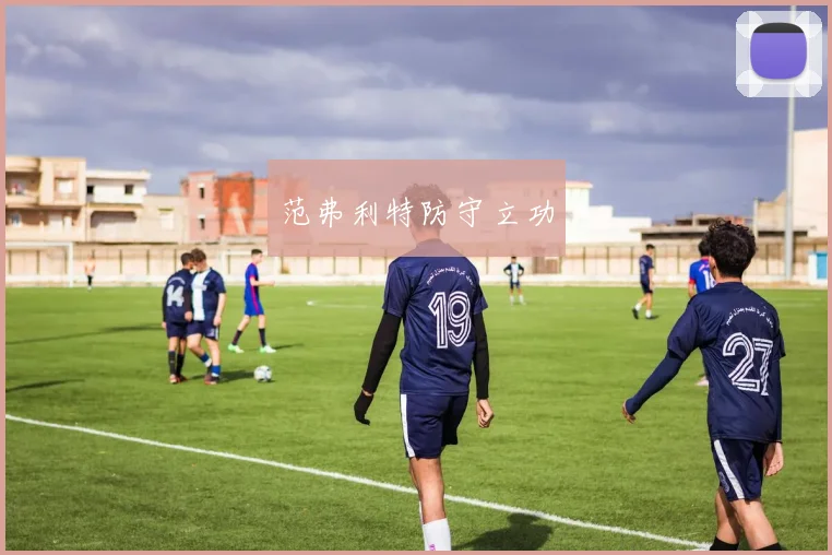 范弗利特防守立功