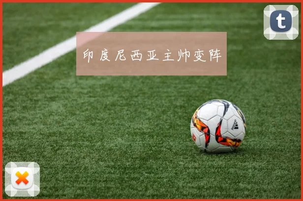 印度尼西亚主帅变阵