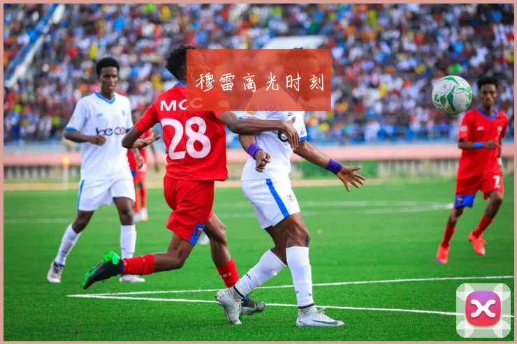 穆雷高光时刻