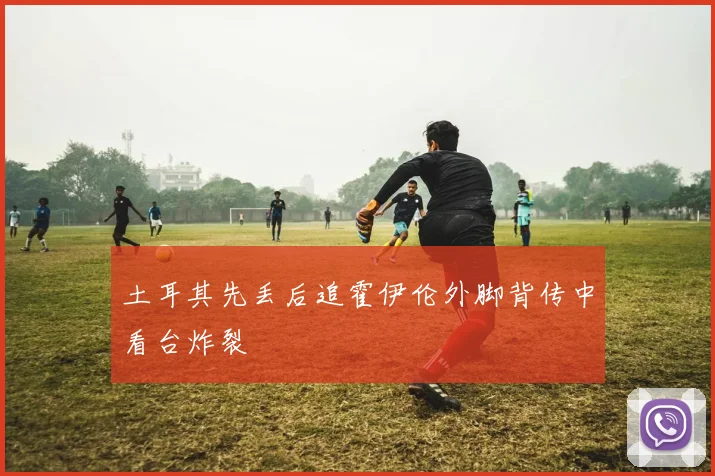 土耳其先丢后追霍伊伦外脚背传中看台炸裂