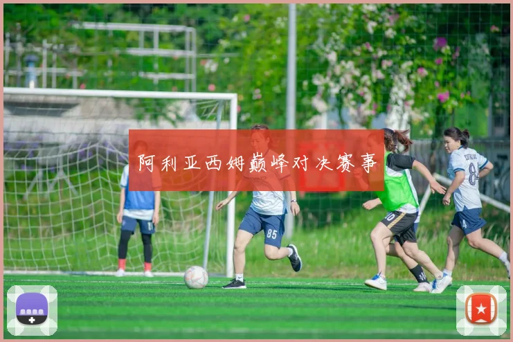 阿利亚西姆巅峰对决赛事