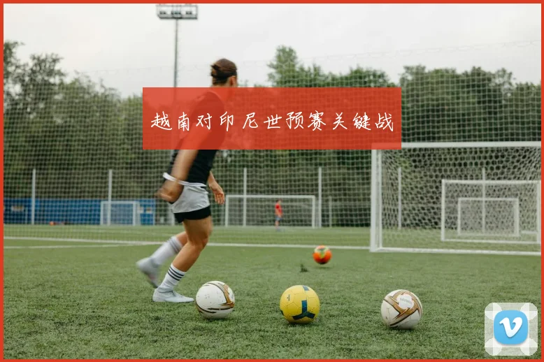 越南对印尼世预赛关键战
