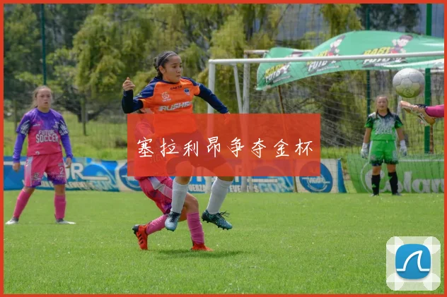塞拉利昂争夺金杯