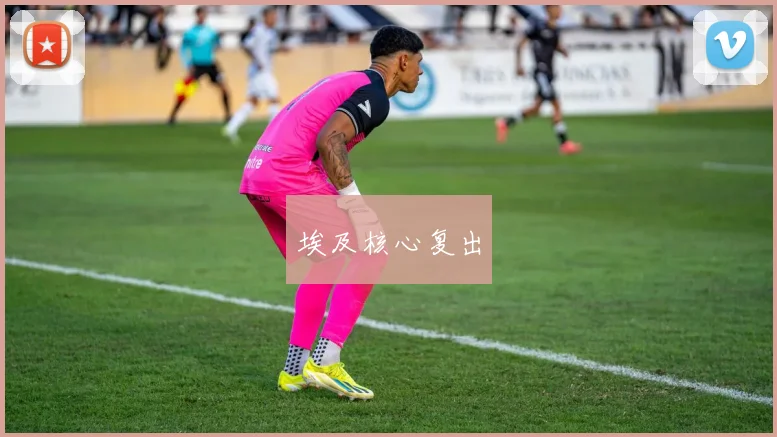 埃及核心复出