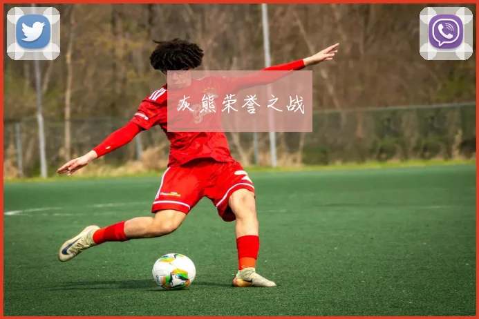 灰熊荣誉之战