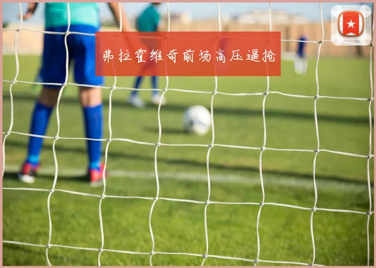 弗拉霍维奇前场高压逼抢
