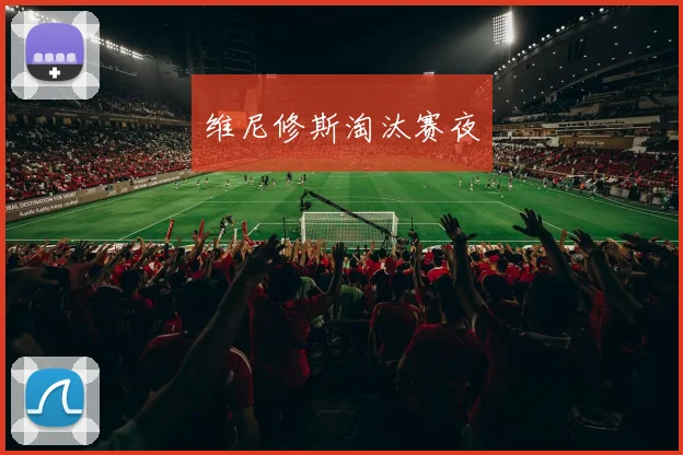 维尼修斯淘汰赛夜