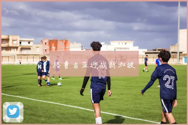 格鲁吉亚迎战新加坡