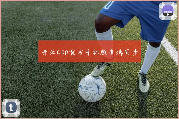 开云app官方手机版多端同步