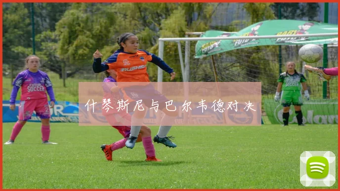 什琴斯尼与巴尔韦德对决
