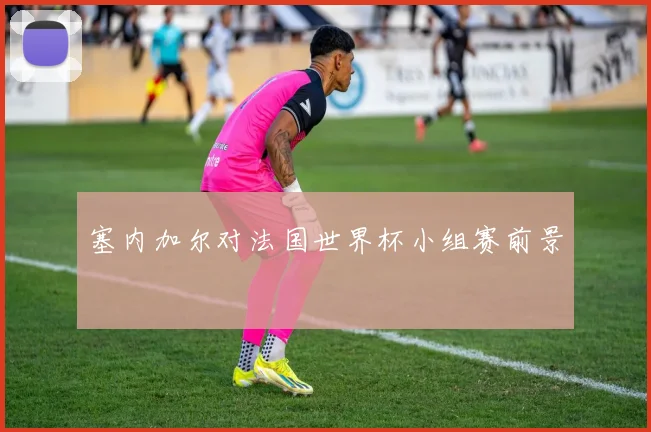 塞内加尔对法国世界杯小组赛前景