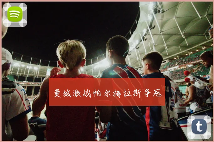 曼城激战帕尔梅拉斯争冠