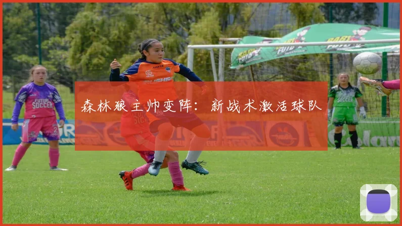 森林狼主帅变阵：新战术激活球队