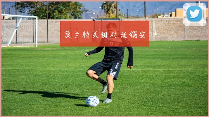 莫兰特关键对话锡安