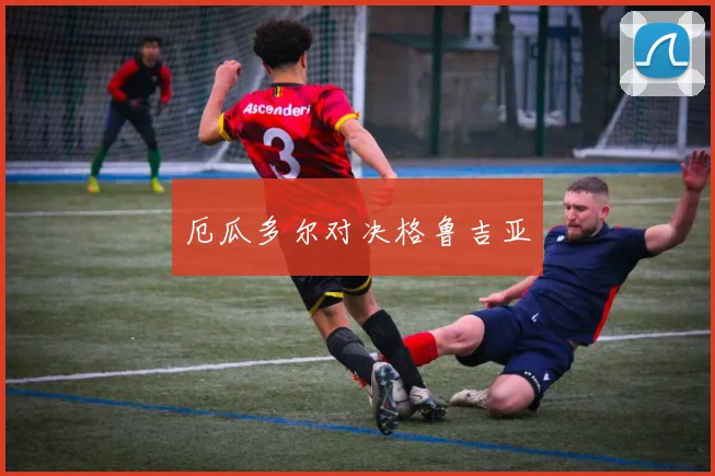 厄瓜多尔对决格鲁吉亚