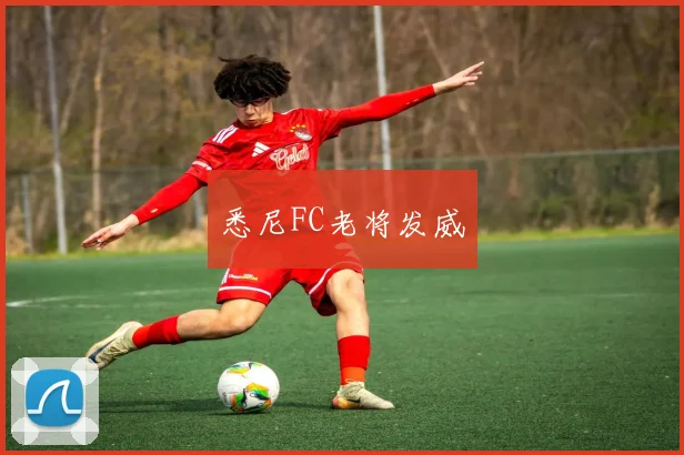 悉尼FC老将发威