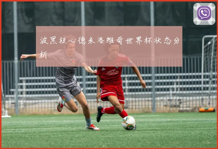 波黑核心德米洛维奇世界杯状态分析