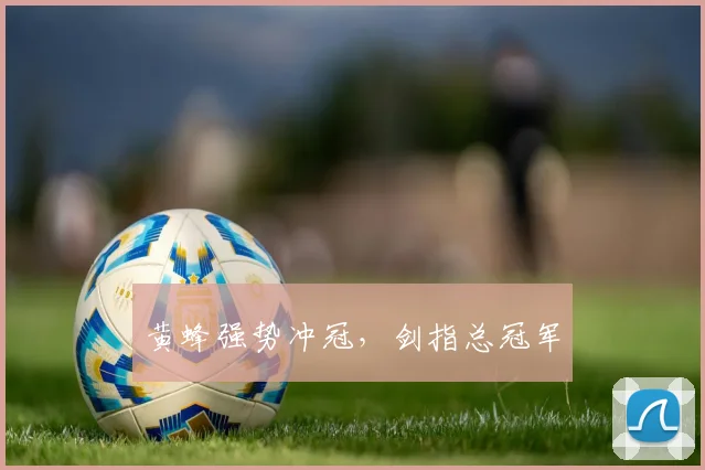 黄蜂强势冲冠，剑指总冠军