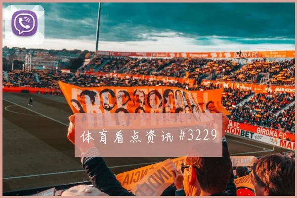 阿尔及利亚对阿根廷J组犯规数据