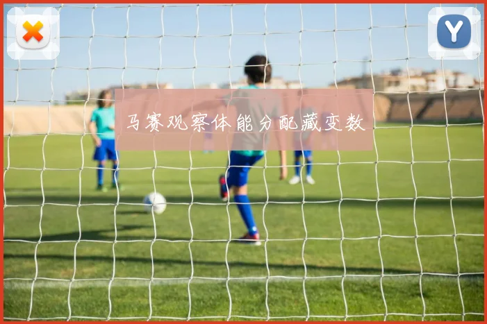 马赛观察体能分配藏变数