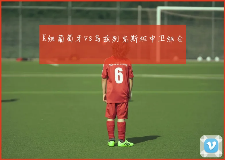 K组葡萄牙vs乌兹别克斯坦中卫组合